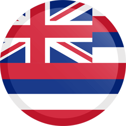 Bouton rond du drapeau d’Hawaï