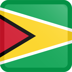 Bouton carré du drapeau du Guyana
