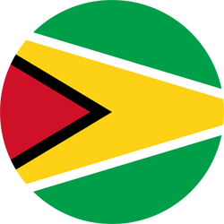 Rond du drapeau du Guyana