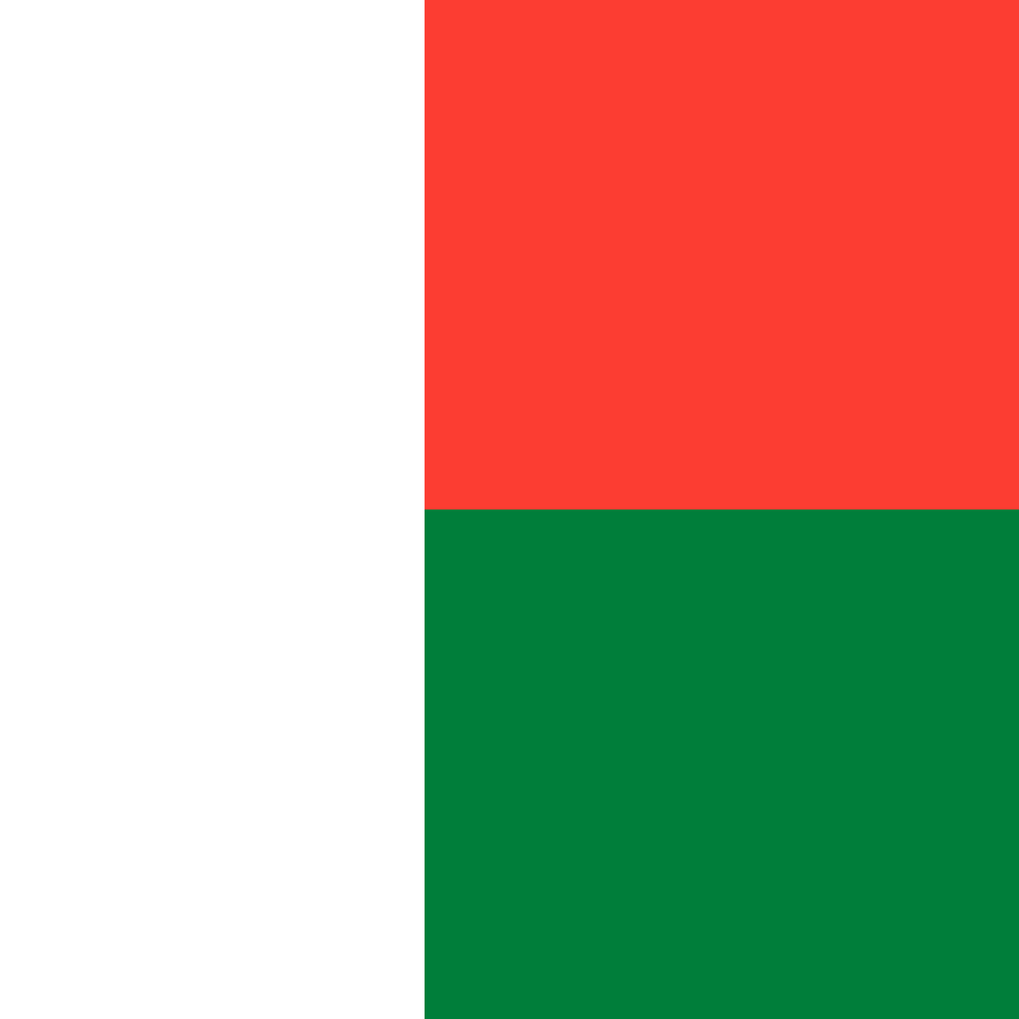 Carré du drapeau de Madagascar
