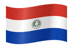 Flottant du drapeau du Paraguay